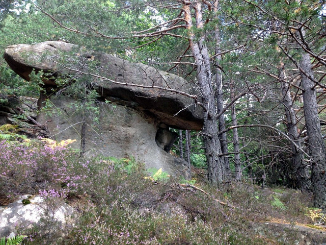 Les grès d'Annot